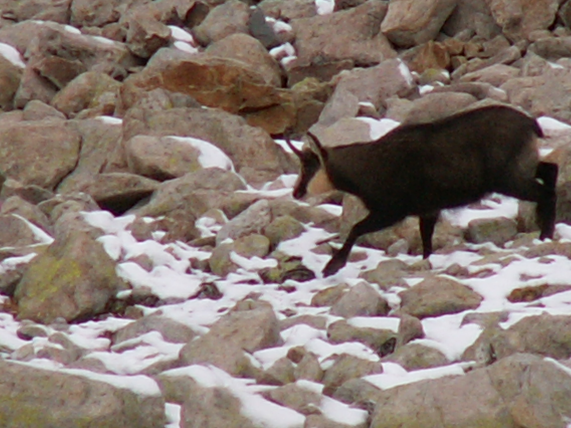 Photo Alpes Oisans Louer gite